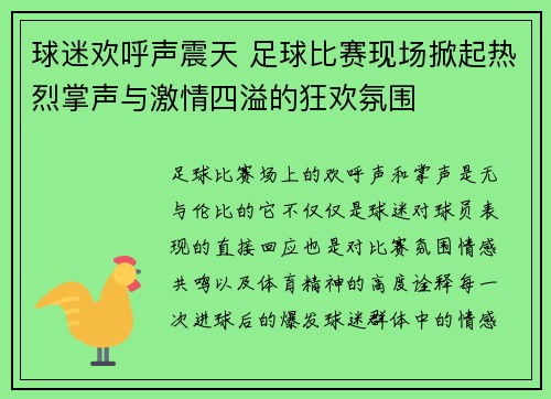 球迷欢呼声震天 足球比赛现场掀起热烈掌声与激情四溢的狂欢氛围